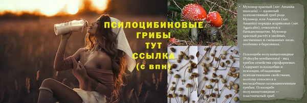 ешки Армянск